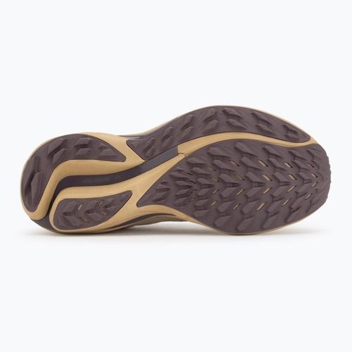 Кросівки для бігу жіночі Mizuno Wave Rider TT 3 curds&whey/summer sand/moonscape