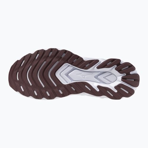 Кросівки для бігу чоловічі Mizuno Wave Skyrise 7 snow white/north sea/summer sand