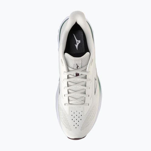 Кросівки для бігу чоловічі Mizuno Wave Skyrise 7 snow white/north sea/summer sand