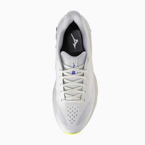 Кросівки для бігу чоловічі Mizuno Wave Skyrise 7 dawn blue/white/dazzling blue