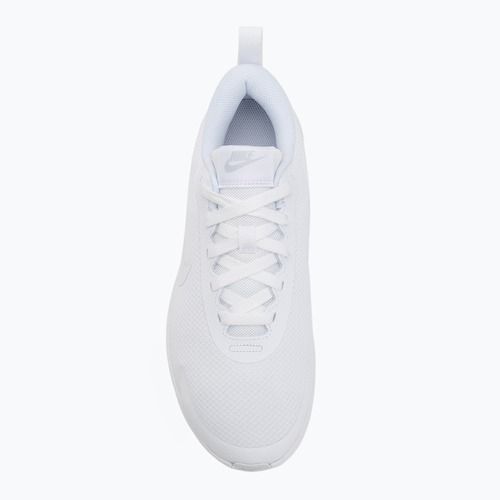 Кросівки чоловічі Nike Promina white/pure platinum