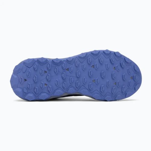 Кросівки для бігу жіночі Mizuno Wave Ibuki 5 GTX Odyssey grey/calypso coral/iris bloom