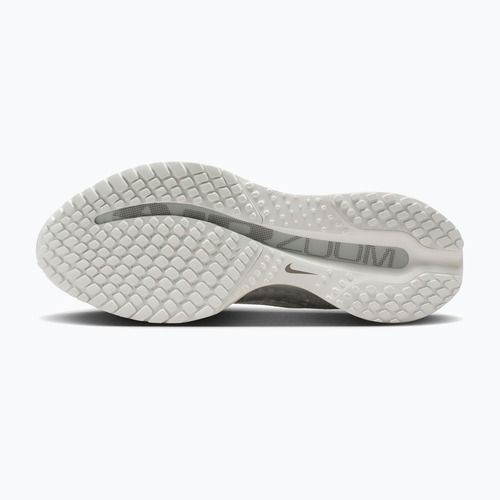 Кросівки для бігу жіночі Nike Pegasus Premium ESS summit white/pure platinum/white