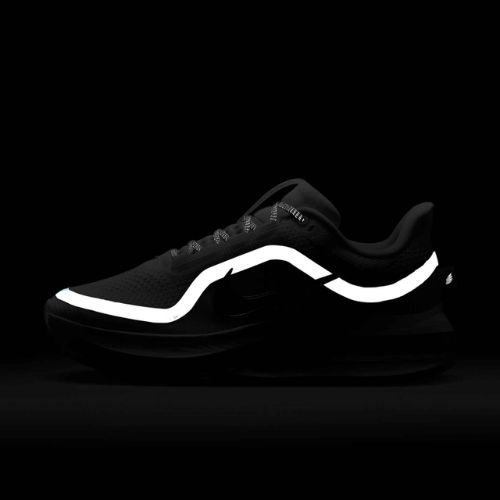 Кросівки для бігу жіночі Nike Pegasus Premium white/metallic silver/metallic silver