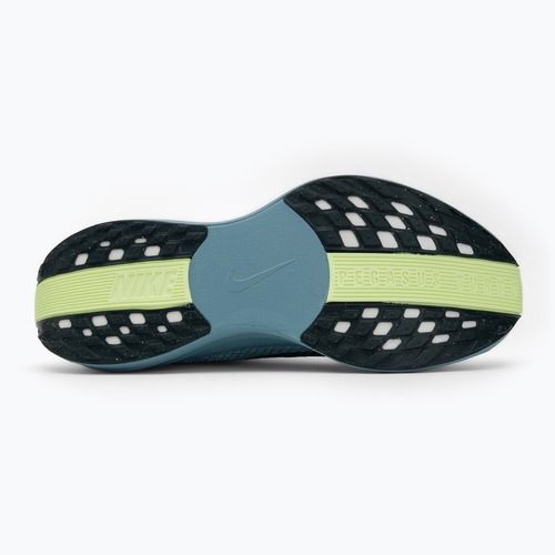 Кросівки для бігу чоловічі Nike Pegasus Plus pure platinum/denim turquoise/seaweed