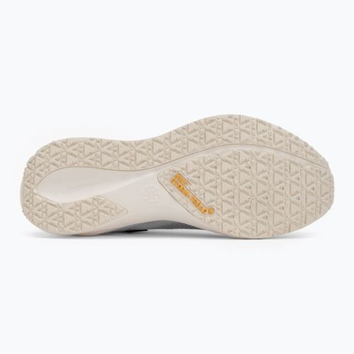 Кросівки для бігу чоловічі Nike Pegasus 41 GTX sail/football grey/sundial/ashen slate