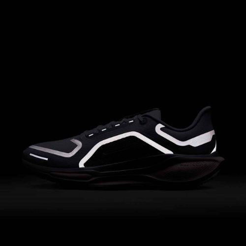 Чоловічі бігові кросівки Nike Pegasus 41 GTX light pumice/pure platinum/silt red/metal silver