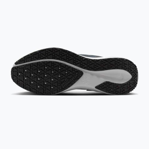 Кросівки для бігу чоловічі Nike Pegasus 41 GTX black/anthracite/iron grey/summit white