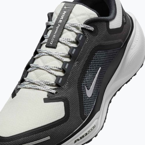 Кросівки для бігу чоловічі Nike Pegasus 41 GTX black/anthracite/iron grey/summit white