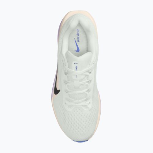 Жіночі бігові кросівки Nike Winflo 11 summit white/violet mist/sapphire/black