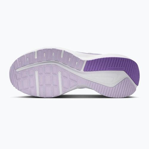 Кросівки для бігу жіночі Nike Downshifter 14 violet mist/sapphire/bright violet/white