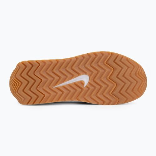Жіноче взуття Nike Pacific white/platinum tint/black
