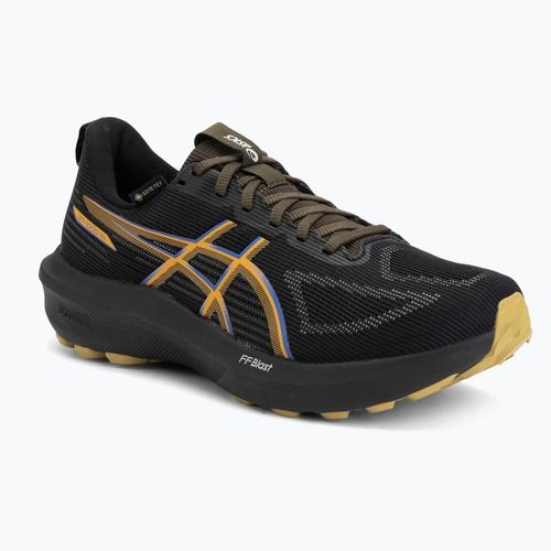 Кросівки для бігу чоловічі ASICS GT-1000 14 GTX black/dark cobalt