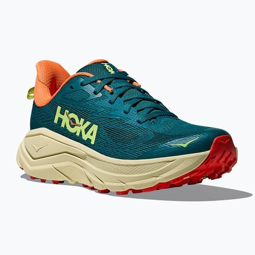 Кросівки для бігу жіночі HOKA Challenger 8 tidal wave/pampas grass