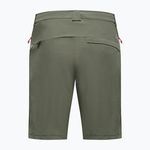Шорти трекінгові чоловічі Salewa Puez Talveno DST faded green