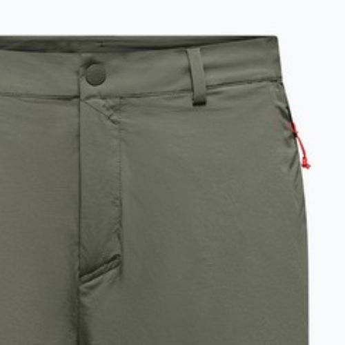 Шорти трекінгові чоловічі Salewa Puez Talveno DST faded green