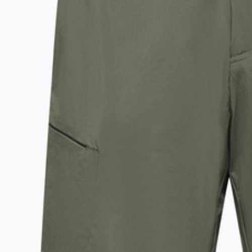 Шорти трекінгові чоловічі Salewa Pedroc 4 DST Cargo faded green