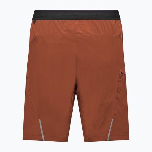 Шорти трекінгові чоловічі Salewa Pedroc 4 DST Cargo bombay brown/0910