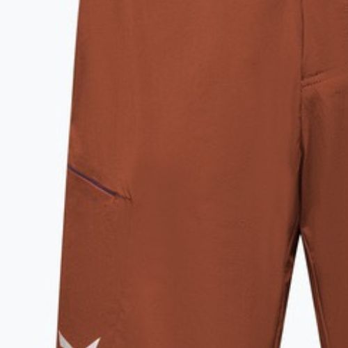 Шорти трекінгові чоловічі Salewa Pedroc 4 DST Cargo bombay brown/0910
