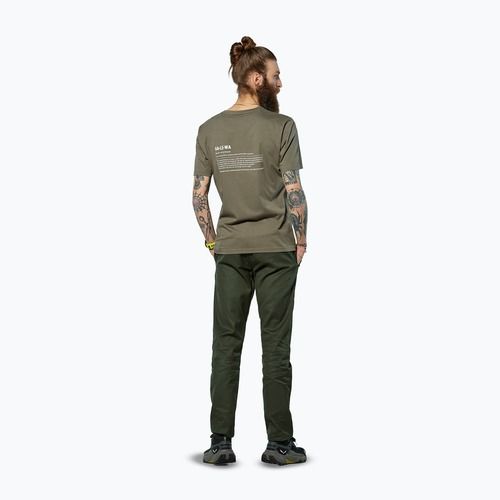 Футболка чоловіча Salewa Eagle Vocab faded green