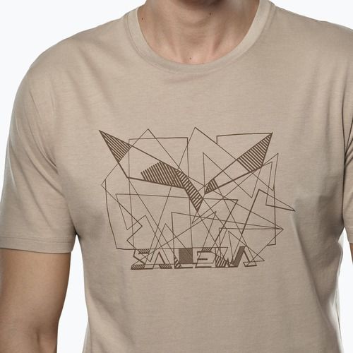 Футболка чоловіча Salewa Eagle Geometric quicksand