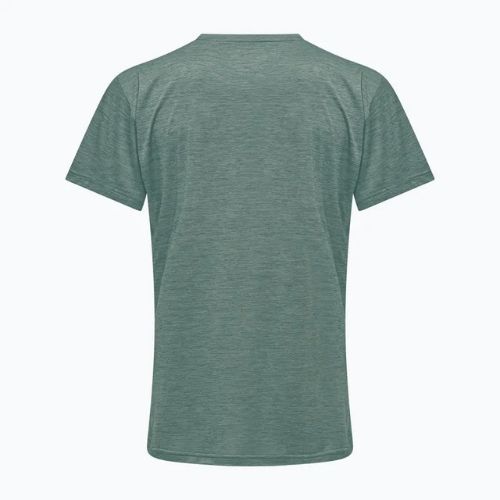 Футболка трекінгова чоловіча Salewa Puez Melange Dry willow melange