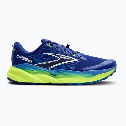 Кросівки для бігу чоловічі Brooks Cascadia 19 surf the web/nightlife/white