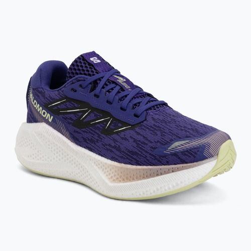 Кросівки для бігу жіночі Salomon Aero Glide 4 deep blue/white/butterfly