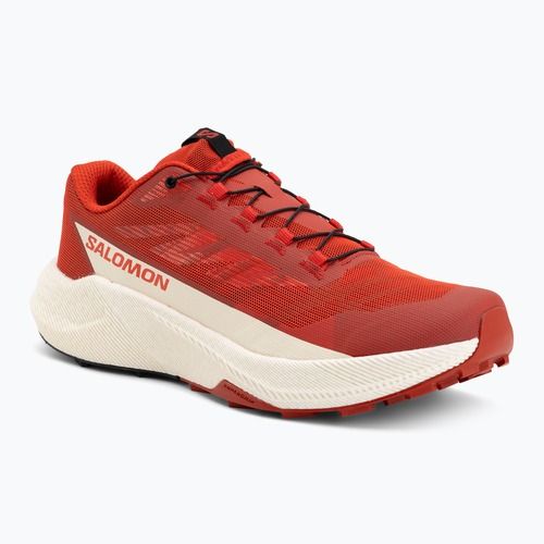 Кросівки для бігу чоловічі Salomon Pulsar fiery red/vanilla ice/black