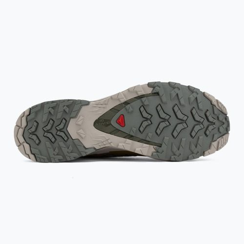 Кросівки для бігу чоловічі Salomon XA Pro 3D V9 sedona sage/plantation/paloma