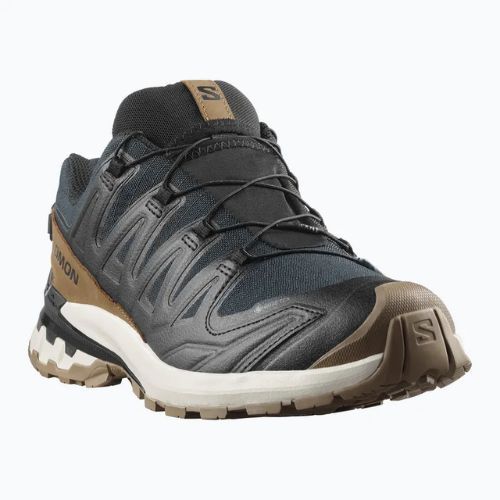 Кросівки для бігу чоловічі Salomon XA PRO 3D V9 GTX Lifelong black/coyote brown/vanilla ice