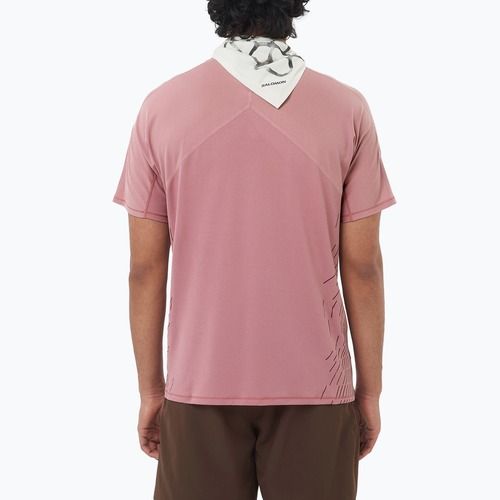 Футболка для бігу чоловіча Salomon Sense Aero SS Tee GFX dusky orchid