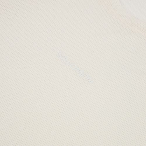 Лонгслів для бігу чоловічий Salomon Shakeout Core whisper white