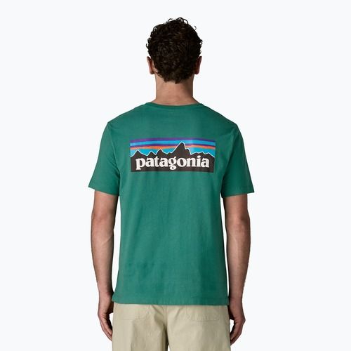 Футболка чоловіча Patagonia P-6 Logo gem green
