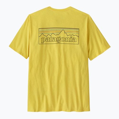 Футболка чоловіча Patagonia P-6 Logo Responsibili-Tee p-6 outline/lemon zest