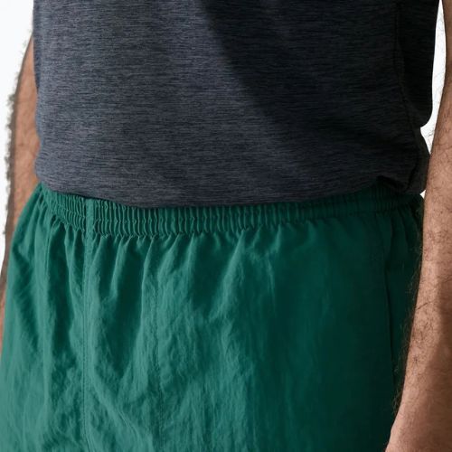 Шорти чоловічі Patagonia Baggies 5" 95 oval logo/gem green