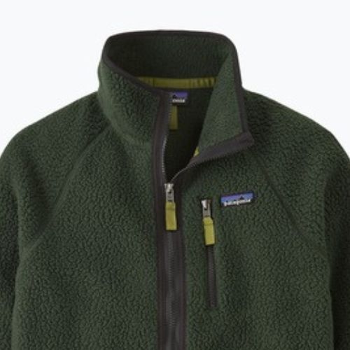 Кофта трекінгова чоловіча Patagonia Retro Pile old growth green