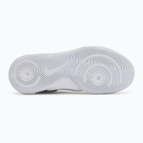 Кросівки волейбольні Nike Hyperquick Court Flight white/photon dust/metallic silver