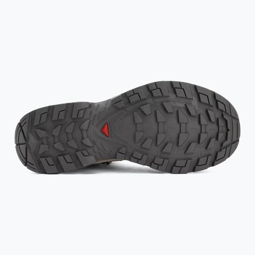 Черевики трекінгові жіночі Salomon Quest Echo GTX gull/paloma/bog