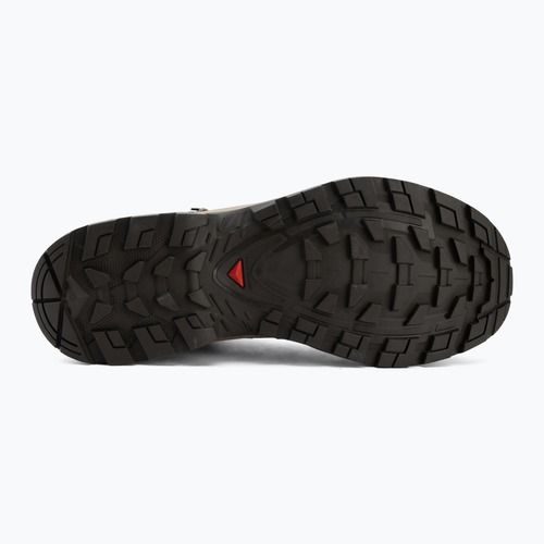 Черевики трекінгові чоловічі Salomon Quest Echo GTX walnut/dsrtan/blko