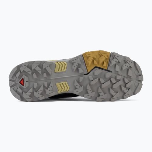 Кросівки трекінгові чоловічі Salomon X Ultra 5 cloudburst/black/willow