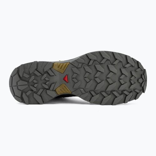 Черевики трекінгові чоловічі Salomon X Ultra 360 MID GTX urban chic/black
