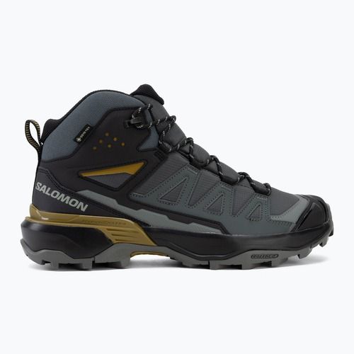 Черевики трекінгові чоловічі Salomon X Ultra 360 MID GTX urban chic/black