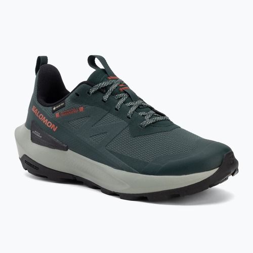 Кросівки туристичні чоловічі Salomon Elixir Activ GTX scarab/green gable