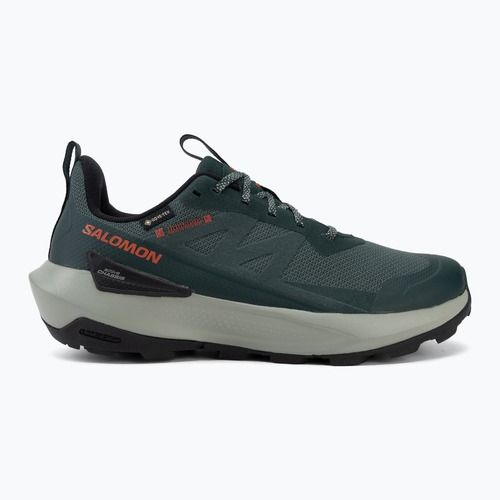 Кросівки туристичні чоловічі Salomon Elixir Activ GTX scarab/green gable