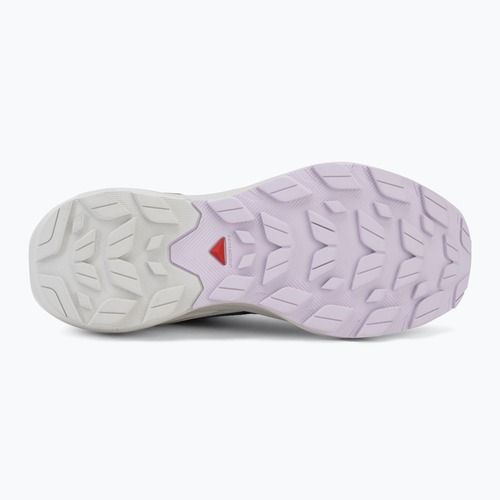 Кросівки туристичні жіночі Salomon Elixir Activ GTX shskin/glacier gray/opetal