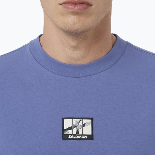 Футболка чоловіча Salomon Wild Rays Label marlin