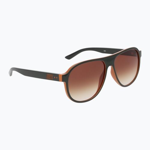 Окуляри сонцезахисні Nike Vintage Icon sequoia/brown gradient