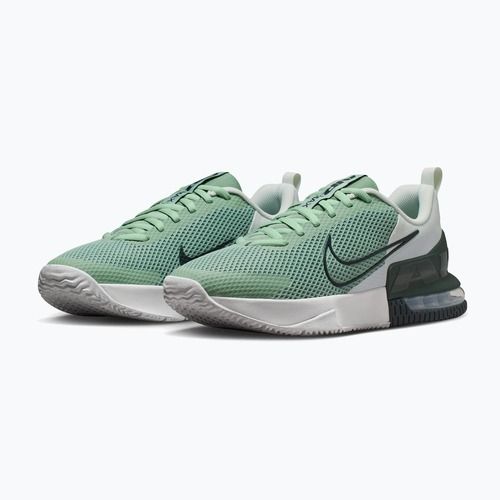 Кросівки для тренувань чоловічі Nike Air Max Alpha Trainer 6 steam/spruce aura/off white/black spruce