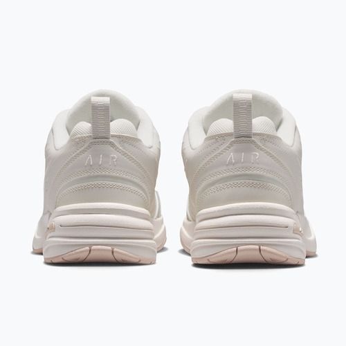Кросівки для тренувань чоловічі Nike Air Monarch IV light bone/spruce aura/sanddrift
